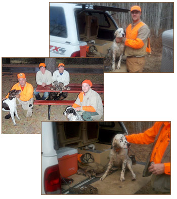 Baldwin Creek Lodge bird hunting photos