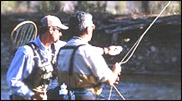 Our Guides