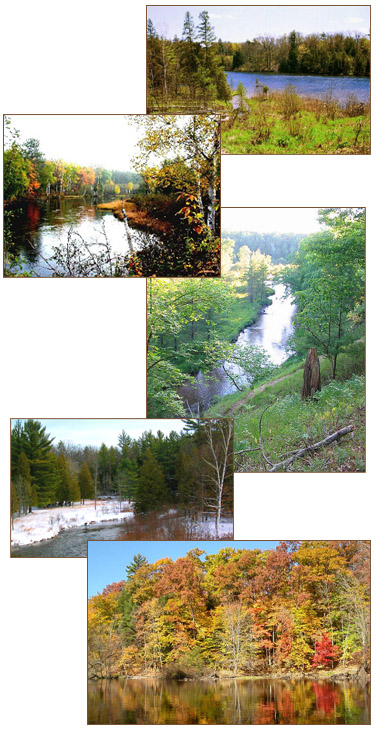 Rivers near Baldwin Creek Lodge